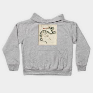 Draco and the Ursa Minor Kids Hoodie